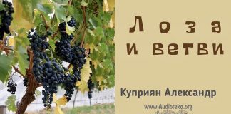 Лоза и ветви – Каприян Александр Лоза и ветви - Каприян Александр