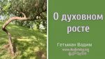 О духовном росте – Гетьман Вадим О духовном росте - Гетьман Вадим