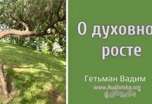 О духовном росте – Гетьман Вадим О духовном росте - Гетьман Вадим