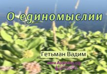 О единомыслии – Гетьман Вадим О единомыслии - Гетьман Вадим