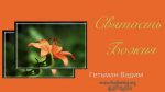 Святость Божия – Гетьман Вадим Святость Божия - Гетьман Вадим
