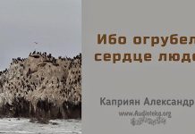 Ибо огрубело сердце людей – Каприян Александр Ибо огрубело сердце людей - Каприян Александр