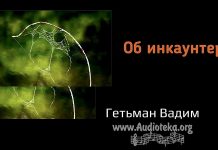 Об инкаунтере – Гетьман Вадим Об инкаунтере - Гетьман Вадим