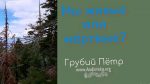 Мы живые или мертвые? – Грубий Петр Мы живые или мертвые? - Грубий Петр