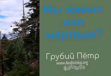 Мы живые или мертвые? – Грубий Петр Мы живые или мертвые? - Грубий Петр