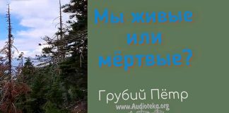 Мы живые или мертвые? – Грубий Петр Мы живые или мертвые? - Грубий Петр