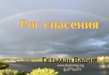 Рог спасения – Гетьман Вадим Рог спасения - Гетьман Вадим