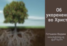 Об укоренении во Христе – Гетьман Вадим Об укоренении во Христе - Гетьман Вадим