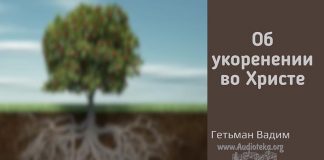 Об укоренении во Христе – Гетьман Вадим Об укоренении во Христе - Гетьман Вадим