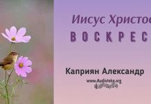 Иисус Христос Воскрес – Каприян Александр Иисус Христос Воскрес - Каприян Александр
