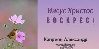 Иисус Христос Воскрес – Каприян Александр Иисус Христос Воскрес - Каприян Александр