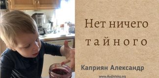 Нет ничего тайного – Каприян Александр Нет ничего тайного - Каприян Александр