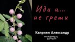 Иди и … не греши – Каприян Александр Иди и ... не греши - Каприян Александр