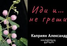 Иди и … не греши – Каприян Александр Иди и ... не греши - Каприян Александр