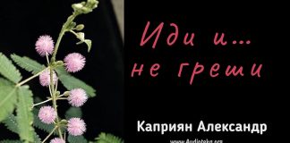 Иди и … не греши – Каприян Александр Иди и ... не греши - Каприян Александр