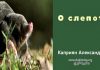 О слепоте – Каприян Александр О слепоте - Каприян Александр
