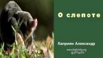 О слепоте – Каприян Александр О слепоте - Каприян Александр