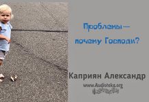 Проблемы – почему Господи? – Каприян Александр Проблемы - почему Господи? - Каприян Александр