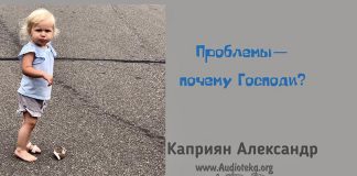 Проблемы – почему Господи? – Каприян Александр Проблемы - почему Господи? - Каприян Александр