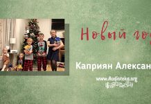 Новый Год – Каприян Александр Новый Год - Каприян Александр