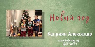 Новый Год – Каприян Александр Новый Год - Каприян Александр
