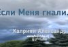 Если меня гнали… – Каприян Александр