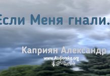 Если меня гнали… – Каприян Александр