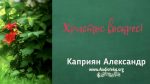 Христос Воскрес – Каприян Александр
