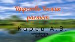 Царство Божие растёт – Карев А. В. Царство Божие растёт - Карев А. В.