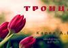 Троица – Карев А. В. Троица - Карев А. В.