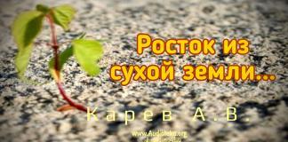 Росток из сухой земли – Карев А. В. Росток из сухой земли - Карев А. В.