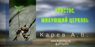 Христос, милующий Церковь – Карев А. В. Христос, милующий Церковь - Карев А. В.
