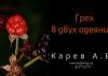 Грех в двух одеяниях – Карев А. В. Грех в двух одеяниях - Карев А. В.