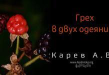 Грех в двух одеяниях – Карев А. В. Грех в двух одеяниях - Карев А. В.