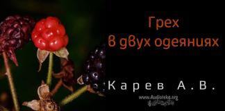 Грех в двух одеяниях – Карев А. В. Грех в двух одеяниях - Карев А. В.