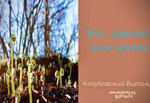 Бог даровал нам жизнь – Козубовский Виталий Бог даровал нам жизнь - Козубовский Виталий