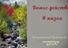 Божье действие в жизни – Виталий Козубовский Божье действие в жизни - Виталий Козубовский