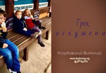 Грех, искушение – Виталий Козубовский Грех, искушение - Виталий Козубовский