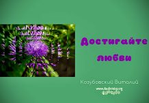 Достигайте любви – Виталий Козубовский Достигайте любви - Виталий Козубовский
