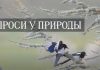 Спроси у природы – Долгопят Спроси у природы - Стеклянная лягушка