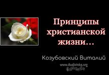 Принципы христианской жизни часть 2 – Виталий Козубовский Принципы христианской жизни - Виталий Козубовский