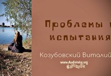 Проблемы и испытания – Виталий Козубовский Проблемы и испытания - Виталий Козубовский