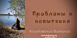Проблемы и испытания – Виталий Козубовский Проблемы и испытания - Виталий Козубовский