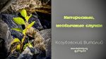 Интересные, необычные случаи – Виталий Козубовский Интересные, необычные случаи - Виталий Козубовский