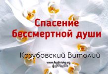 Спасение бессмертной души – Виталий Козубовский Спасение бессмертной души - Виталий Козубовский