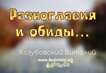 Разногласия и обиды – Виталий Козубовский Разногласия и обиды - Виталий Козубовский