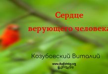 Сердце верующего человека – Виталий Козубовский Сердце верующего человека - Виталий Козубовский