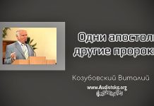Одни апостолы, другие пророки – Виталий Козубовский Одни апостолы, другие пророки - Виталий Козубовский