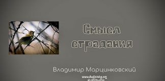 Смысл страдания 02 – Владимир Марцинковский Смысл страдания 01 - Владимир Марцинковский