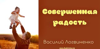 Совершенная радость – Василий Логвиненко Совершенная радость - Василий Логвиненко